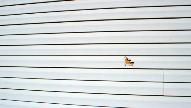 Reliable First Mesa, AZ Siding Installation & Repair Solutions